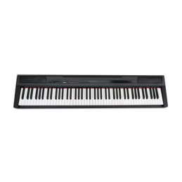 ECHORD SP-1 DIGITAL PIANO...