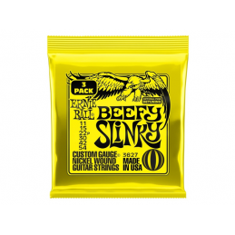 ERNIE BALL 3627 Beefy...