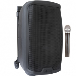 GEMINI AS2110 TO GO COMBO PORTATILE 1000W - W/HANDHELD