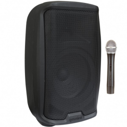 GEMINI AS2108 TO GO COMBO PORTATILE W/TROLLEY - 500W