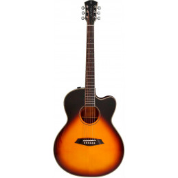 A3-G CUTAWAY VINTAGE SUNBURST