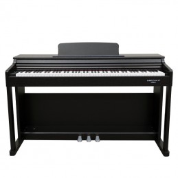 ECHORD DPX-100 DIGITAL PIANO 88 NOTE - BLACK POLISH