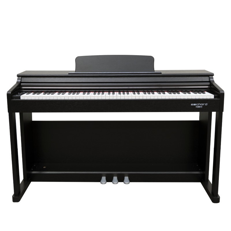ECHORD DPX-100 DIGITAL PIANO 88 NOTE - BLACK POLISH