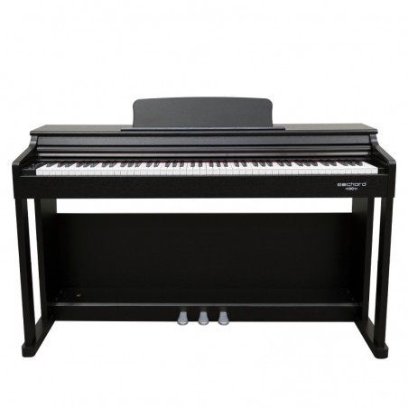 ECHORD DPX-100 - BLACK POLISH