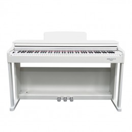 ECHORD DPX-100 - WHITE POLISH
