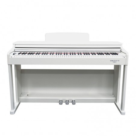 ECHORD DPX-100 - WHITE POLISH