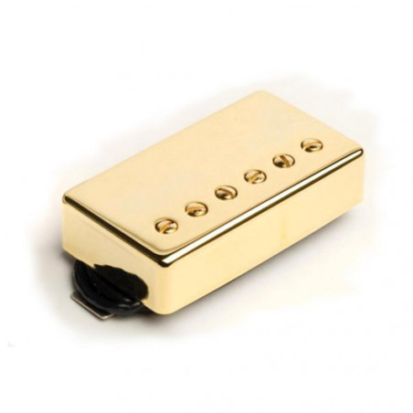 SH55B SETH LOVER MODEL GOLD 4C