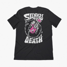 ERNIE BALL 4853 Slinky Till...