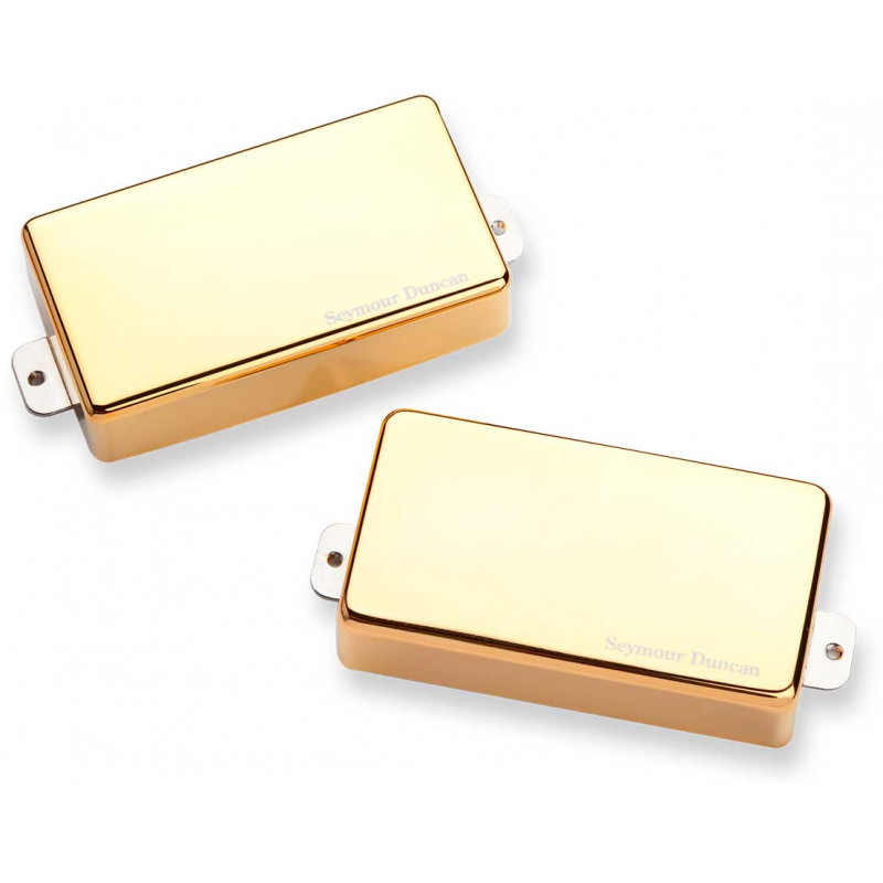 AHB1S BLACKOUTS, SET, GOLD