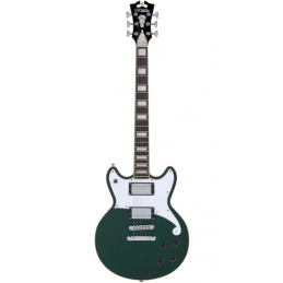 D'ANGELICO PREMIER BRIGHTON SHERWOOD GREEN