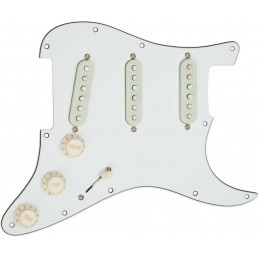 STKS10PGD YJM FURY PG ASSY, OW