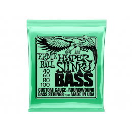 ERNIE BALL 2841