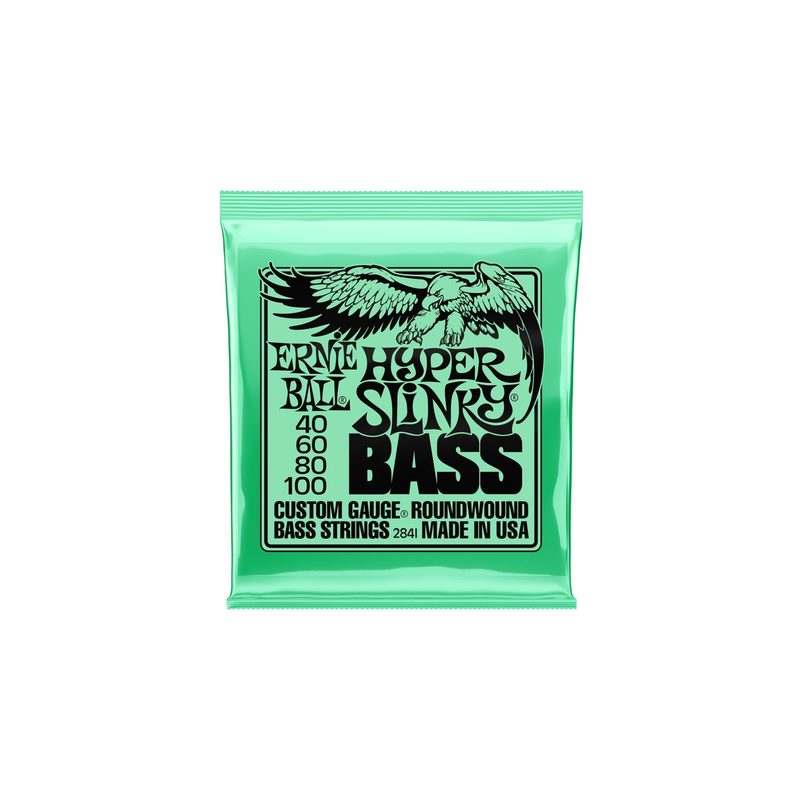 ERNIE BALL 2841