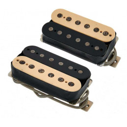11828-66 BONAMASSA AMOS ZEBRA SET