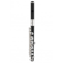 JPC1010