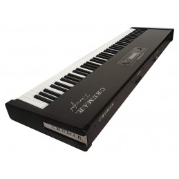 Piano 88 tasti con Tecnologia Ibrida Avanzata