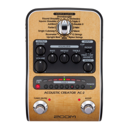 ZOOM AC-2