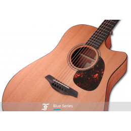 BLUE DC-CM CUTAWAY