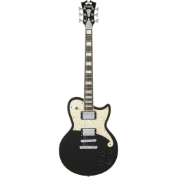 D'ANGELICO PREMIER ATLANTIC BLACK FLAKE