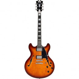 D'ANGELICO PREMIER DC DARK ICED TEA BURST