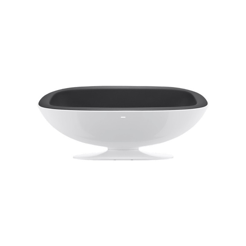 SPACE DOCK 38''