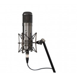 Microfono Professionale da studio Valvolare a Condensatore - Versione limitata finitura inTitanio