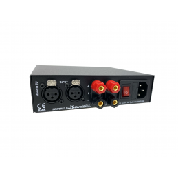 Amplificatore per coppia 5C passive