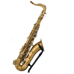 LIEN CHENG T601XW SAX...