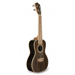 ZR-C UKULELE CONCERT IN ZIRICOTE