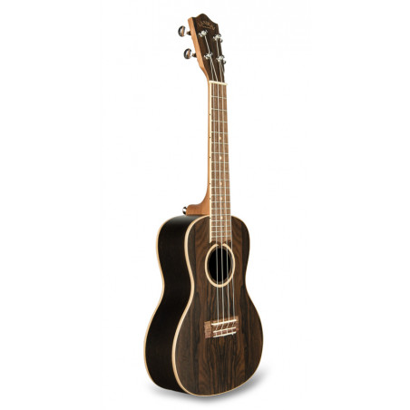 ZR-C UKULELE CONCERT IN ZIRICOTE