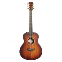 TAYLOR GS MINI e KOA PLUS