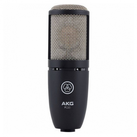 AKG P220