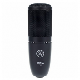 AKG P120