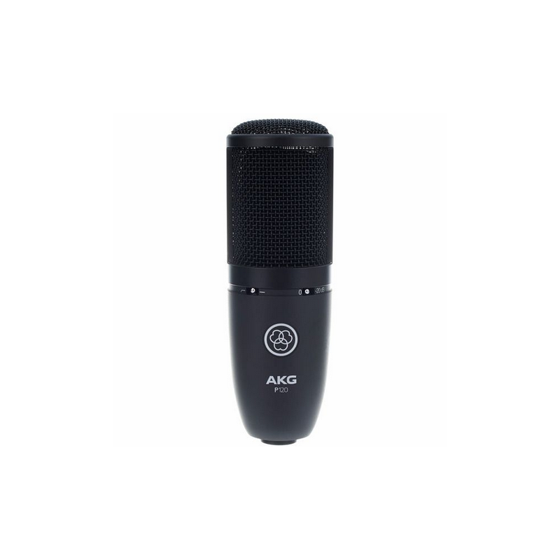 AKG P120