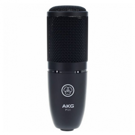 AKG P120