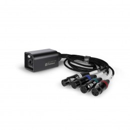 PALMER AoC Loom XLR 3FV