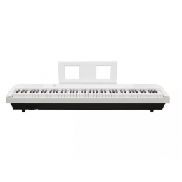ECHORD DP-1 WHITE