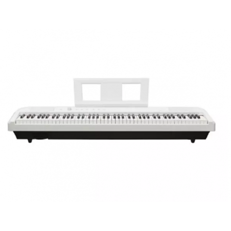 ECHORD DP-1 WHITE
