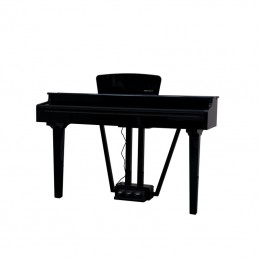 ECHORD GP-10 BLACK