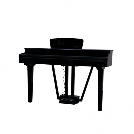 ECHORD GP-10 BLACK