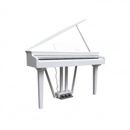 ECHORD GP-10 WHITE