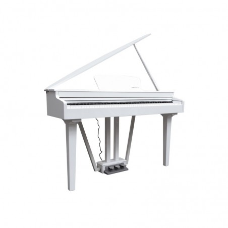 ECHORD GP-10 WHITE