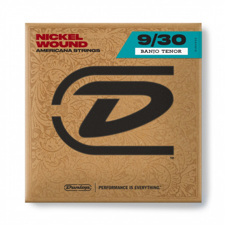 DJN0930 Banjo Nickel Wound, Tenor Set/4