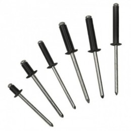 Bralo 55924806 BLK
