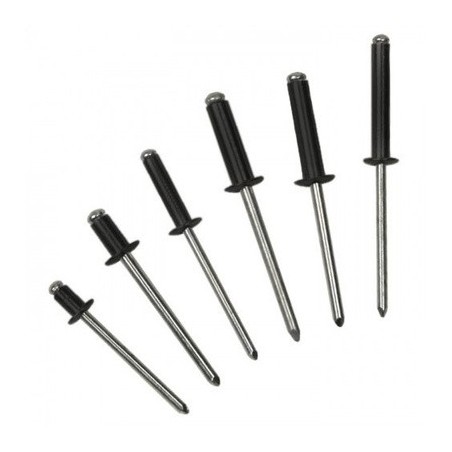 Bralo 55924806 BLK