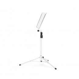 Gravity NS 441 W