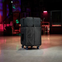 LD SYSTEMS LD Systems DAVE 15 G4X BAG SET