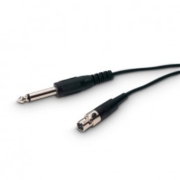 LD SYSTEMS LD Systems WS 100 GC