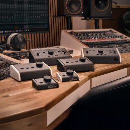 Palmer MONICON L G2