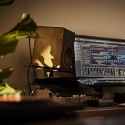 Palmer STUDIMON 5